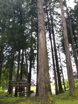 河和田神社(福井県)