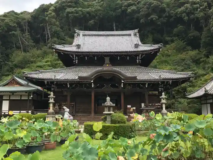 三室戸寺の本殿・本堂