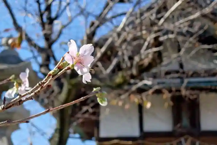 八剱神社(愛知県)