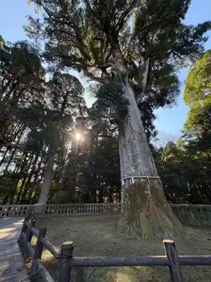 霧島神宮(鹿児島県)