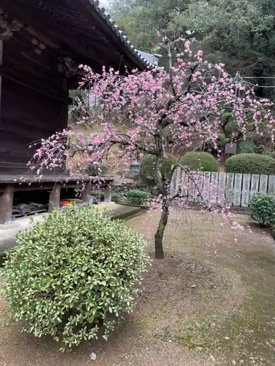 白峯寺(香川県)