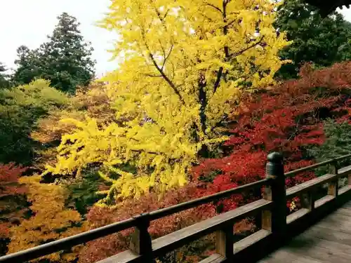 圓教寺の庭園