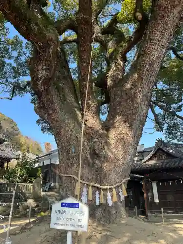 艮神社の{uncategorized: "未分類", other: "その他", undefined: "問題あり", building: "その他建物", grave: "お墓", sacred_gate: "鳥居", guardian: "狛犬", statue: "像", buddha: "仏像", history: "歴史", nature: "自然", garden: "庭園", animal: "動物", pagoda: "塔", temizu: "手水舎", mountain_gate: "山門・神門", sanctuary: "本殿・本堂", subordinate: "末社・摂社", art: "芸術", scenery: "景色", jizo: "地蔵", ema: "絵馬", goshuin: "御朱印", omikuji: "おみくじ", items: "授与品その他", amulet: "お守り", goshuincho: "御朱印帳", eats: "食事", festival: "お祭り", votive_dance: "神楽", shichigosan: "七五三参", wedding: "結婚式", experience: "体験その他", initially: "初詣", around: "周辺", anti_infection: "感染症対策"}