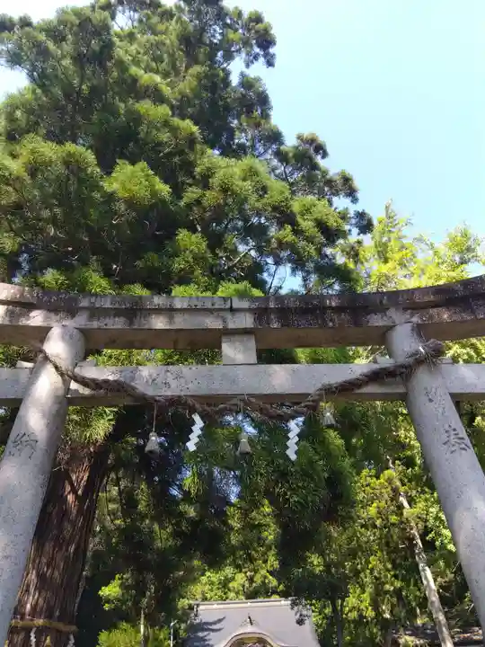 高倉神社(京都府)