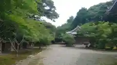 観音寺(三重県)