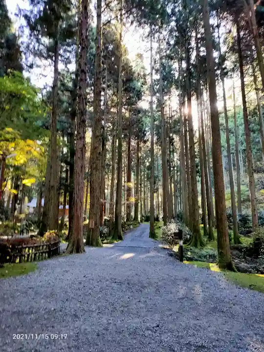 御岩神社の自然