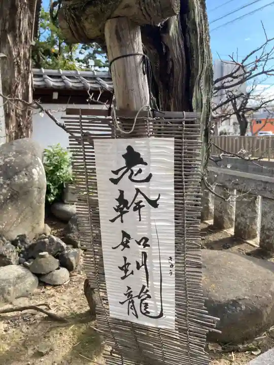 妙法寺(神奈川県)
