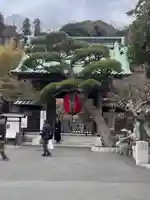 長谷寺(神奈川県)