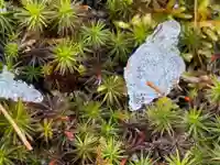 西方山極楽寺(岐阜県)