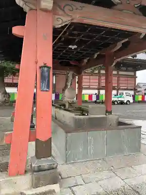 東寺(教王護国寺)の手水舎