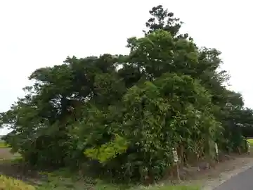 若宮八幡神社(千葉県)