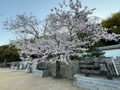 八幡神社(兵庫県)