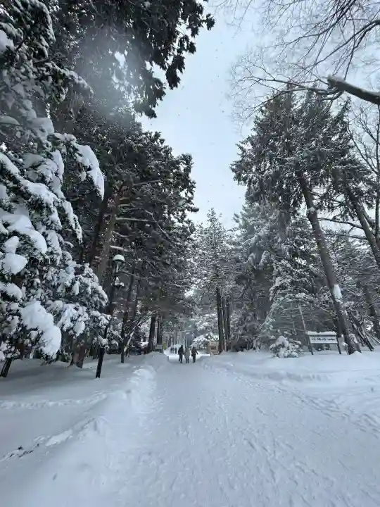 北海道神宮の{uncategorized: "未分類", other: "その他", undefined: "問題あり", building: "その他建物", grave: "お墓", sacred_gate: "鳥居", guardian: "狛犬", statue: "像", buddha: "仏像", history: "歴史", nature: "自然", garden: "庭園", animal: "動物", pagoda: "塔", temizu: "手水舎", mountain_gate: "山門・神門", sanctuary: "本殿・本堂", subordinate: "末社・摂社", art: "芸術", scenery: "景色", jizo: "地蔵", ema: "絵馬", goshuin: "御朱印", omikuji: "おみくじ", items: "授与品その他", amulet: "お守り", goshuincho: "御朱印帳", eats: "食事", festival: "お祭り", votive_dance: "神楽", shichigosan: "七五三参", wedding: "結婚式", experience: "体験その他", initially: "初詣", around: "周辺", anti_infection: "感染症対策"}