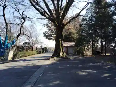 普済寺(群馬県)