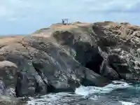 経島神社の{uncategorized: "未分類", other: "その他", undefined: "問題あり", building: "その他建物", grave: "お墓", sacred_gate: "鳥居", guardian: "狛犬", statue: "像", buddha: "仏像", history: "歴史", nature: "自然", garden: "庭園", animal: "動物", pagoda: "塔", temizu: "手水舎", mountain_gate: "山門・神門", sanctuary: "本殿・本堂", subordinate: "末社・摂社", art: "芸術", scenery: "景色", jizo: "地蔵", ema: "絵馬", goshuin: "御朱印", omikuji: "おみくじ", items: "授与品その他", amulet: "お守り", goshuincho: "御朱印帳", eats: "食事", festival: "お祭り", votive_dance: "神楽", shichigosan: "七五三参", wedding: "結婚式", experience: "体験その他", initially: "初詣", around: "周辺", anti_infection: "感染症対策"}