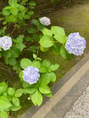 溝口神社(神奈川県)