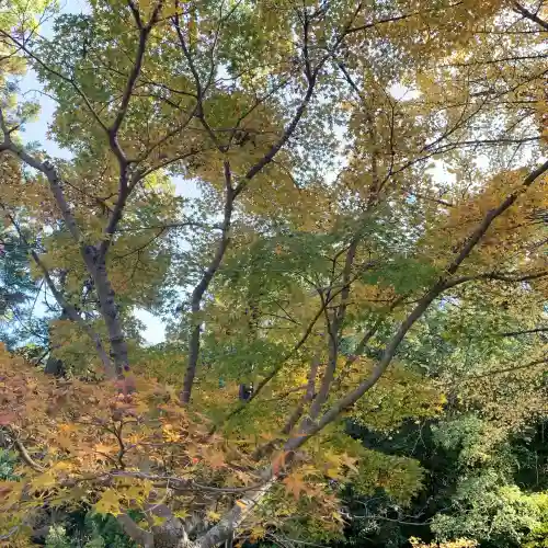 闘鶏神社(和歌山県)