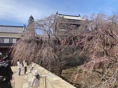 眞田神社(長野県)