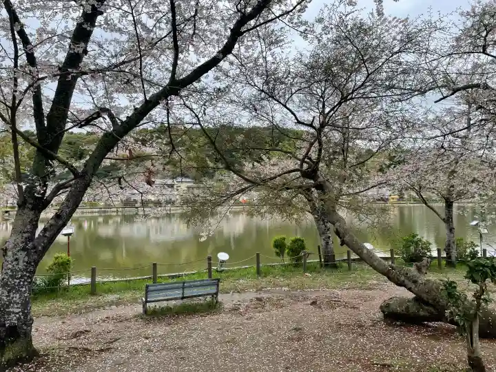 厳島神社 谷弁財天の{uncategorized: "未分類", other: "その他", undefined: "問題あり", building: "その他建物", grave: "お墓", sacred_gate: "鳥居", guardian: "狛犬", statue: "像", buddha: "仏像", history: "歴史", nature: "自然", garden: "庭園", animal: "動物", pagoda: "塔", temizu: "手水舎", mountain_gate: "山門・神門", sanctuary: "本殿・本堂", subordinate: "末社・摂社", art: "芸術", scenery: "景色", jizo: "地蔵", ema: "絵馬", goshuin: "御朱印", omikuji: "おみくじ", items: "授与品その他", amulet: "お守り", goshuincho: "御朱印帳", eats: "食事", festival: "お祭り", votive_dance: "神楽", shichigosan: "七五三参", wedding: "結婚式", experience: "体験その他", initially: "初詣", around: "周辺", anti_infection: "感染症対策"}