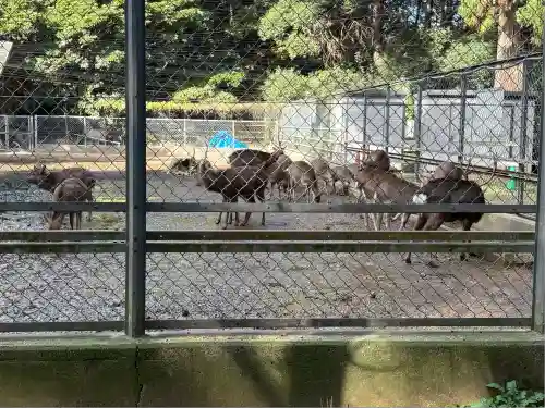 鹿島神宮(茨城県)