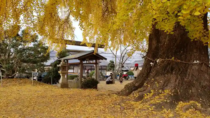 丹生酒殿神社の自然