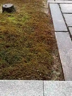 西方山極楽寺(岐阜県)