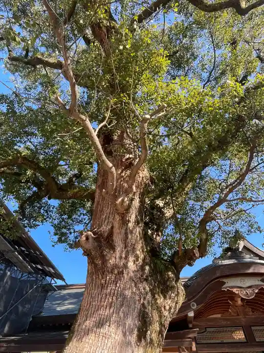 宇佐神宮の自然