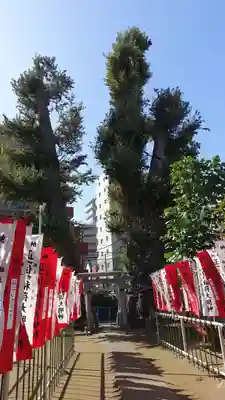 出世稲荷神社(埼玉県)