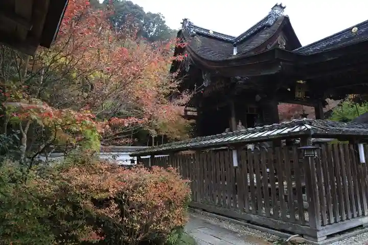 鍬山神社(京都府)