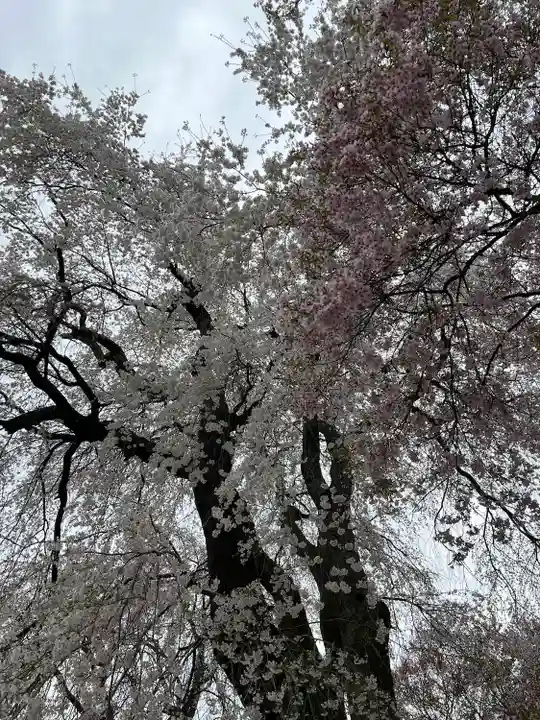 勝間薬師堂(長野県)