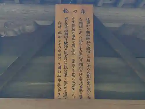 大岡白山神社(愛知県)