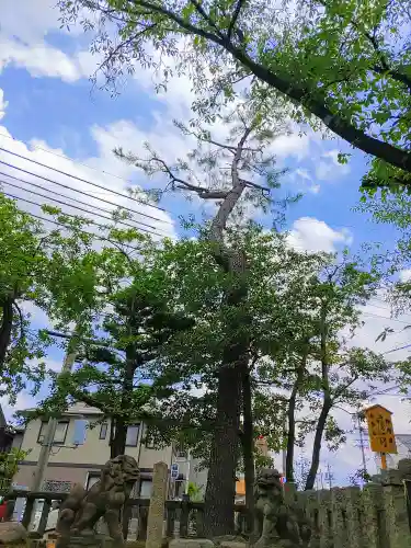 濱神明社の自然