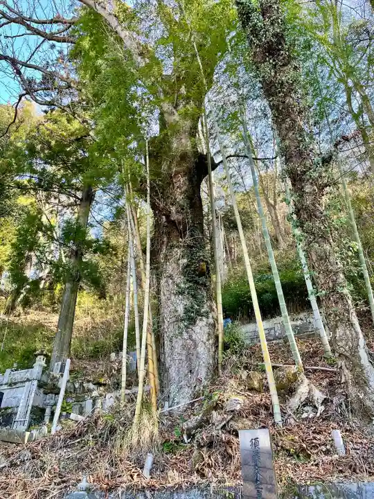 無辺寺(山梨県)