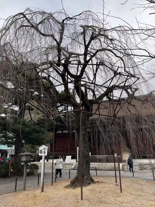 大報恩寺(千本釈迦堂)(京都府)