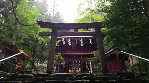 花園神社の鳥居