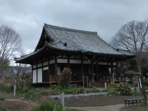 般若寺 ❁﻿コスモス寺❁(奈良県)