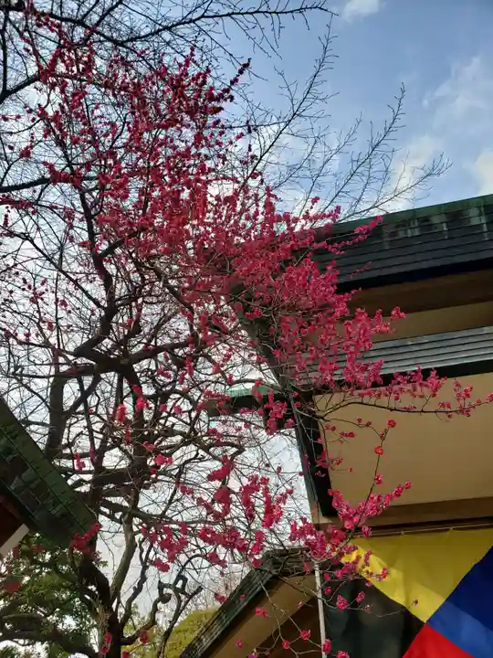 東郷神社の自然