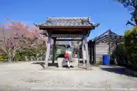 願海寺の{uncategorized: "未分類", other: "その他", undefined: "問題あり", building: "その他建物", grave: "お墓", sacred_gate: "鳥居", guardian: "狛犬", statue: "像", buddha: "仏像", history: "歴史", nature: "自然", garden: "庭園", animal: "動物", pagoda: "塔", temizu: "手水舎", mountain_gate: "山門・神門", sanctuary: "本殿・本堂", subordinate: "末社・摂社", art: "芸術", scenery: "景色", jizo: "地蔵", ema: "絵馬", goshuin: "御朱印", omikuji: "おみくじ", items: "授与品その他", amulet: "お守り", goshuincho: "御朱印帳", eats: "食事", festival: "お祭り", votive_dance: "神楽", shichigosan: "七五三参", wedding: "結婚式", experience: "体験その他", initially: "初詣", around: "周辺", anti_infection: "感染症対策"}