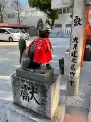 今益稲荷神社の狛犬