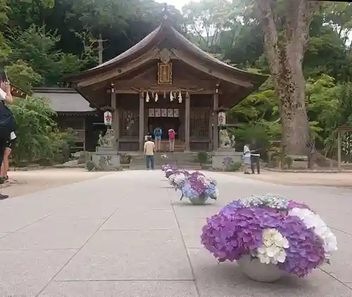 宝満宮竈門神社の本殿