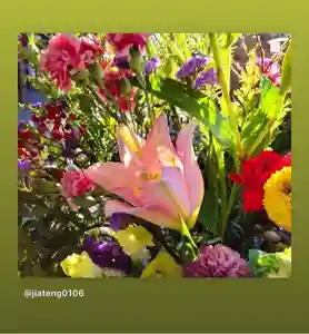 滑川神社 - 仕事と子どもの守り神の手水舎(2021年02月08日(月) 12時33分23秒投稿)