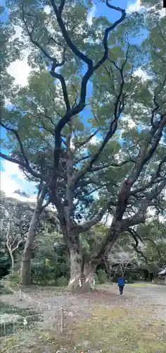 曽許乃御立神社(静岡県)