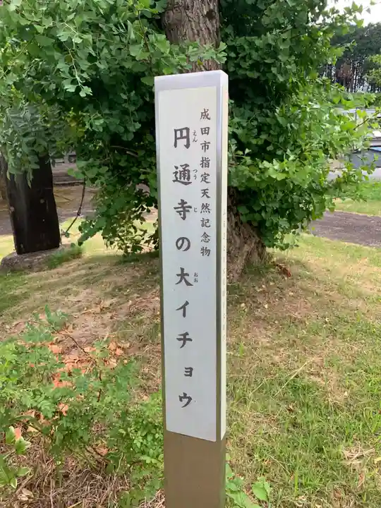 圓通寺(千葉県)