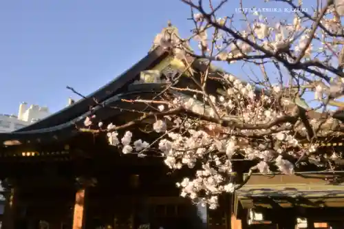 湯島天満宮(東京都)