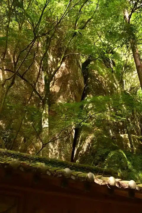 立岩神社(徳島県)