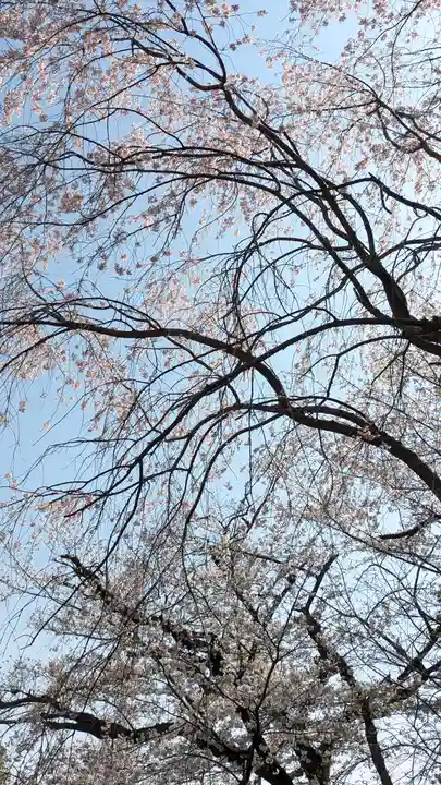 向日神社(京都府)