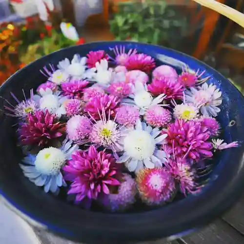 行田八幡神社の手水舎