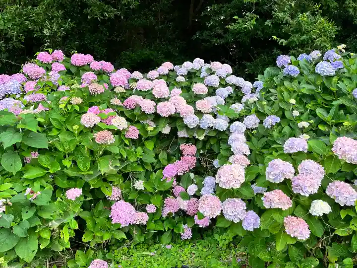住吉神社(熊本県)
