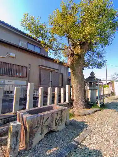 御日塚神社（追分）の手水舎