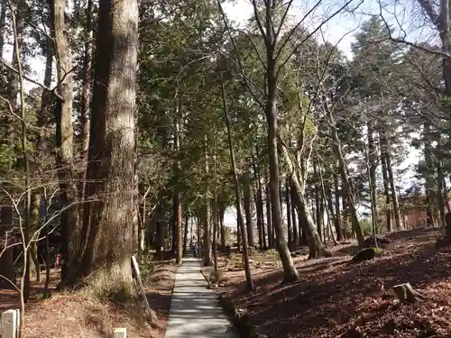 富士山東口本宮 冨士浅間神社の自然